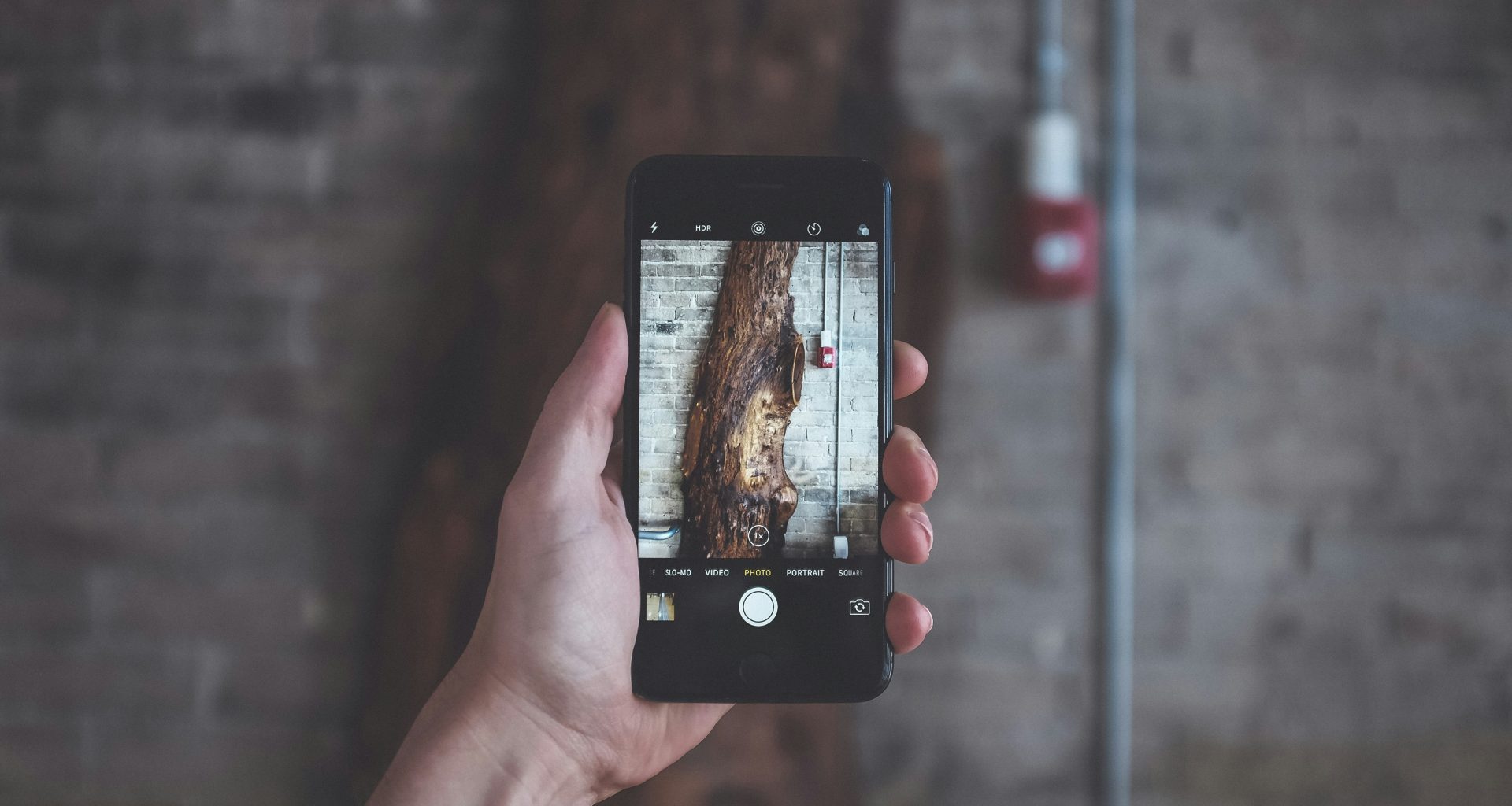 schwarzes-android-smartphone-fotografiert-baum-KbUb9A46lV8