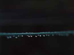 schwarzer-draht-mit-wassertropfen-DzFHpBKP83c