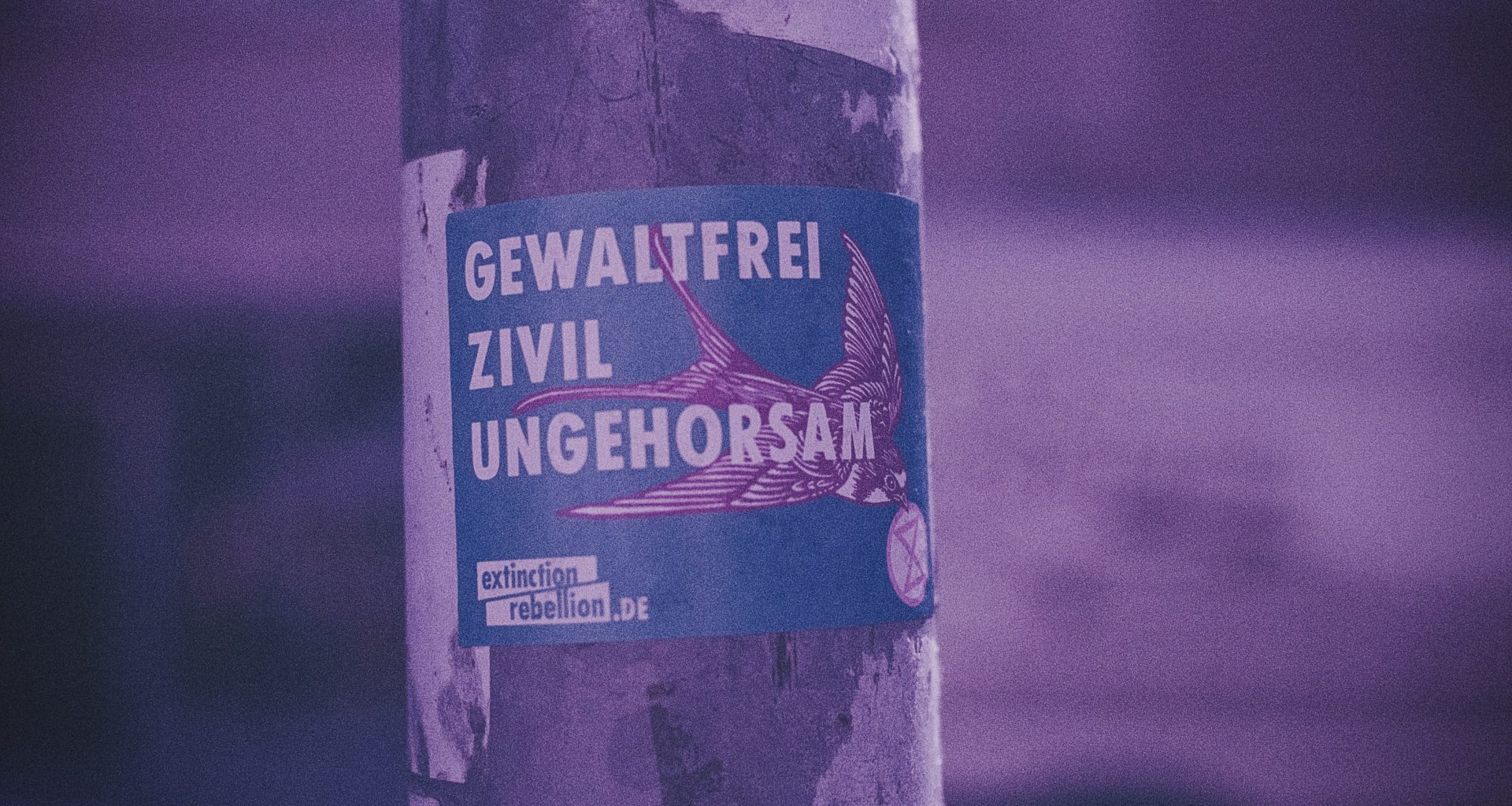 coca-cola-cherry-zero-flasche-zVaLi14xFjU