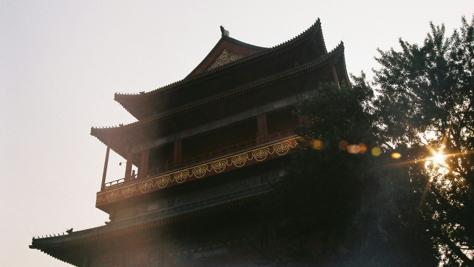 foto-eines-baumes-neben-dem-pagodentempel-aus-einem-niedrigen-winkel-zIIlPb5zrVw