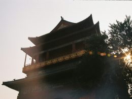 foto-eines-baumes-neben-dem-pagodentempel-aus-einem-niedrigen-winkel-zIIlPb5zrVw