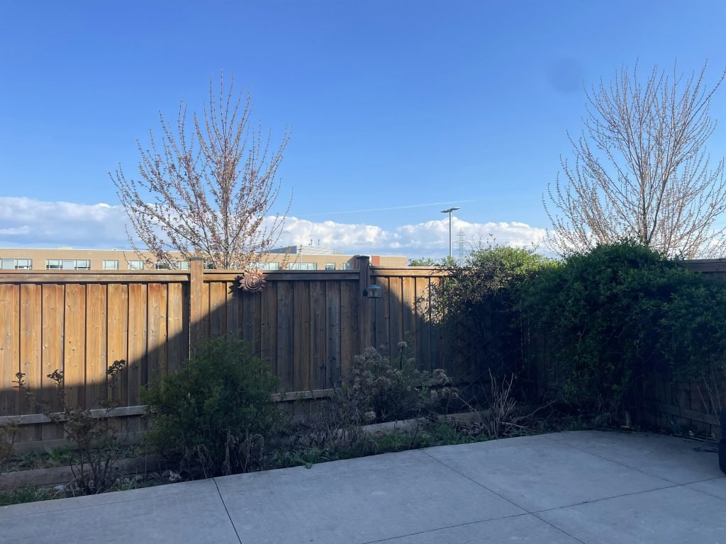 ein-hinterhof-mit-zaun-und-buschen-TPr9BJ-uDqo