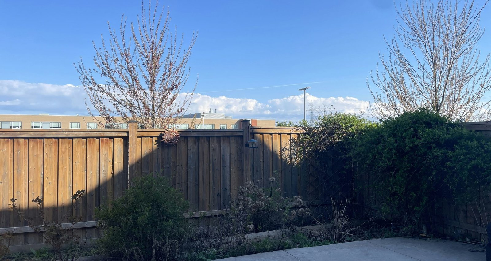 ein-hinterhof-mit-zaun-und-buschen-TPr9BJ-uDqo