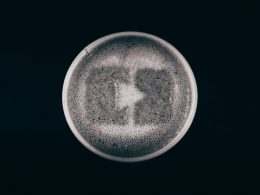 ein-schwarz-weiss-foto-eines-bieres-in-einem-glas-nBVMaJtBC3c