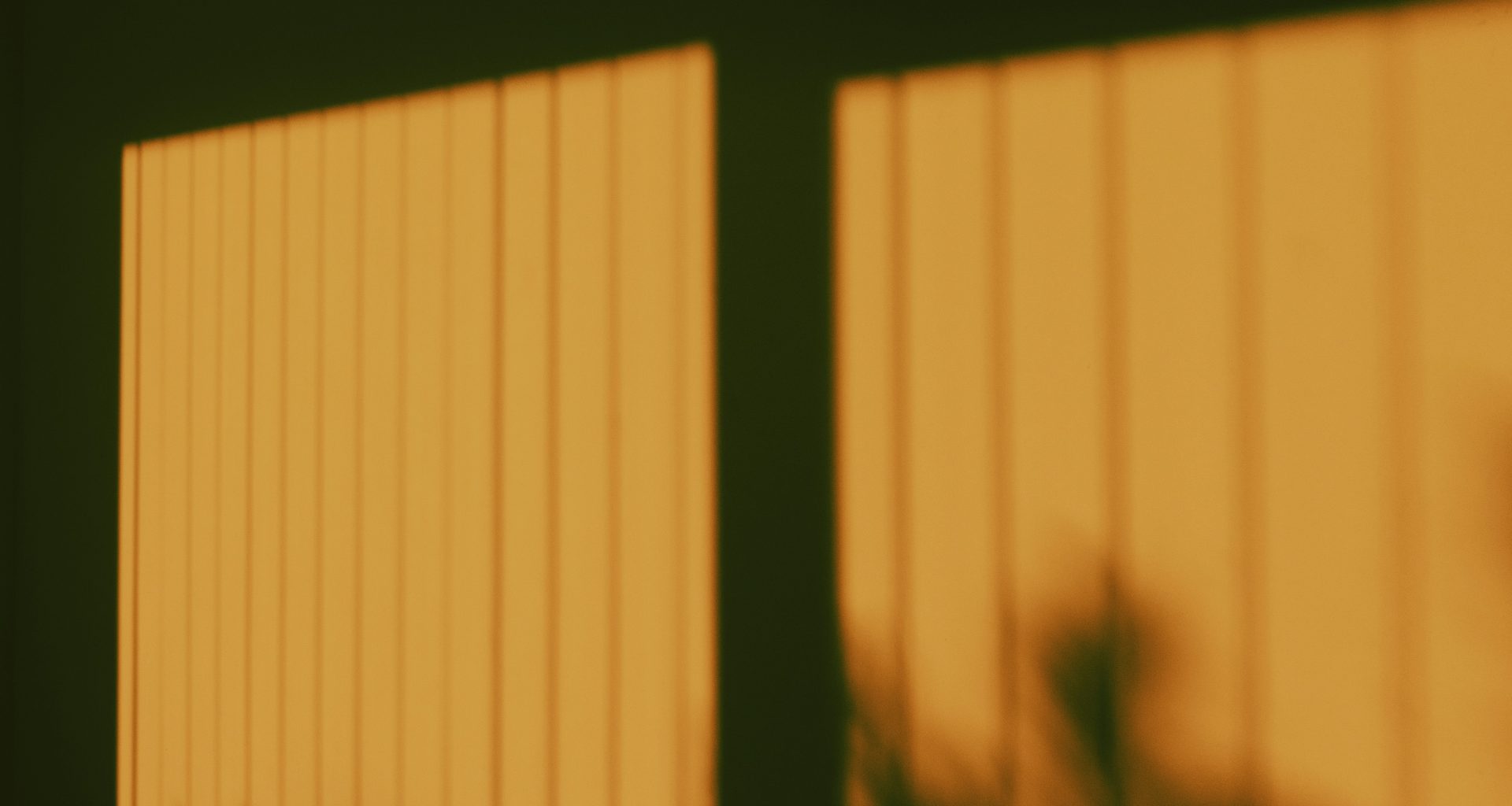 ein-verschwommenes-foto-eines-zauns-und-eines-baumes-tRtranzzZBg