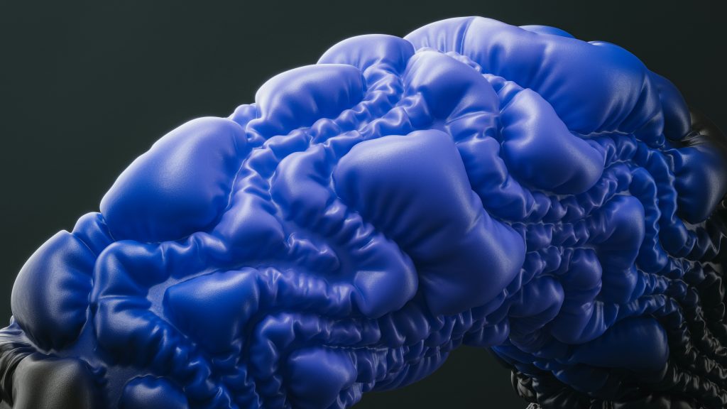 nahaufnahme-eines-blauhirnmodells-oQC3UdR9Ne0