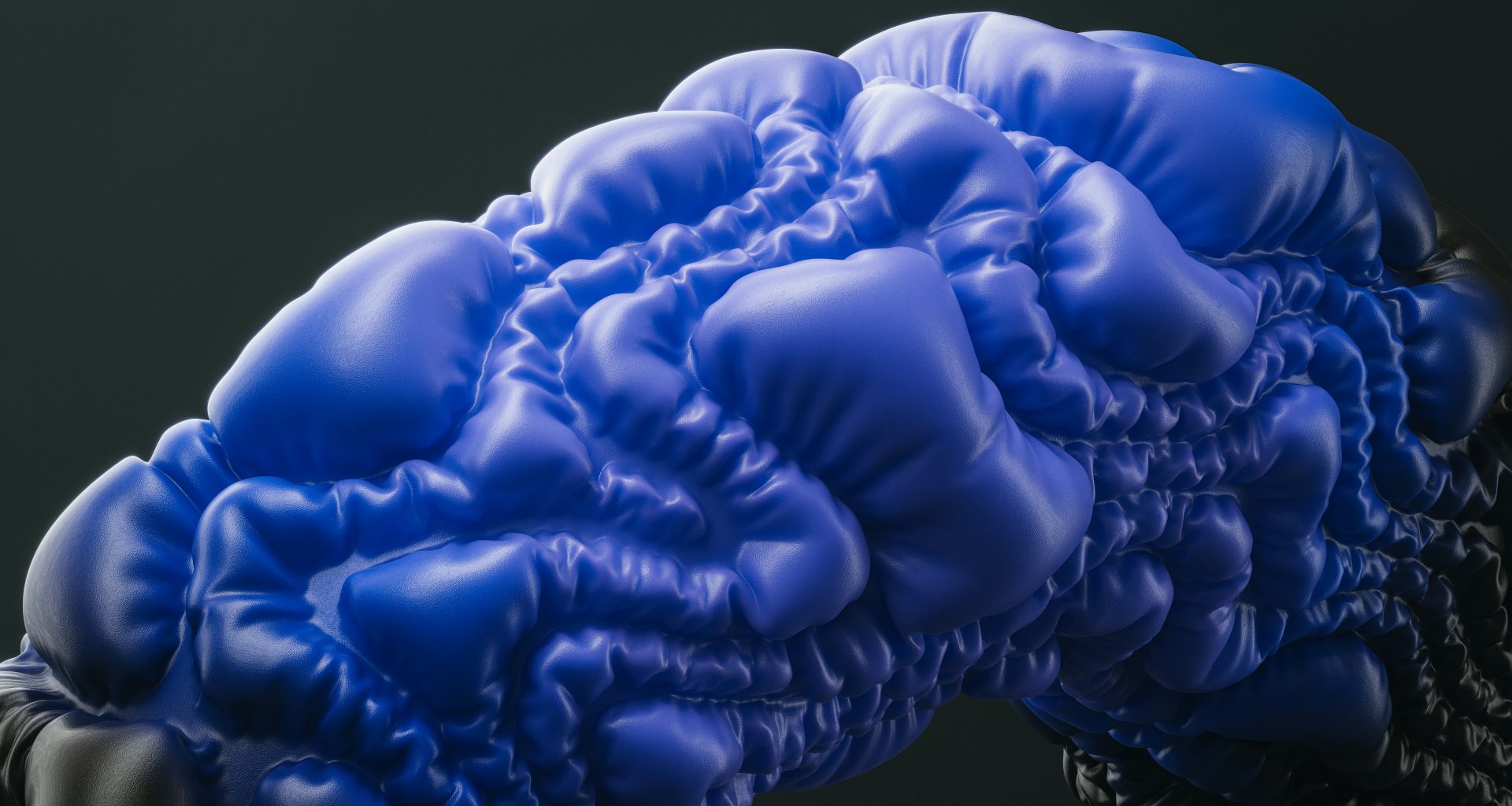nahaufnahme-eines-blauhirnmodells-oQC3UdR9Ne0