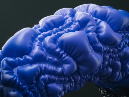 nahaufnahme-eines-blauhirnmodells-oQC3UdR9Ne0