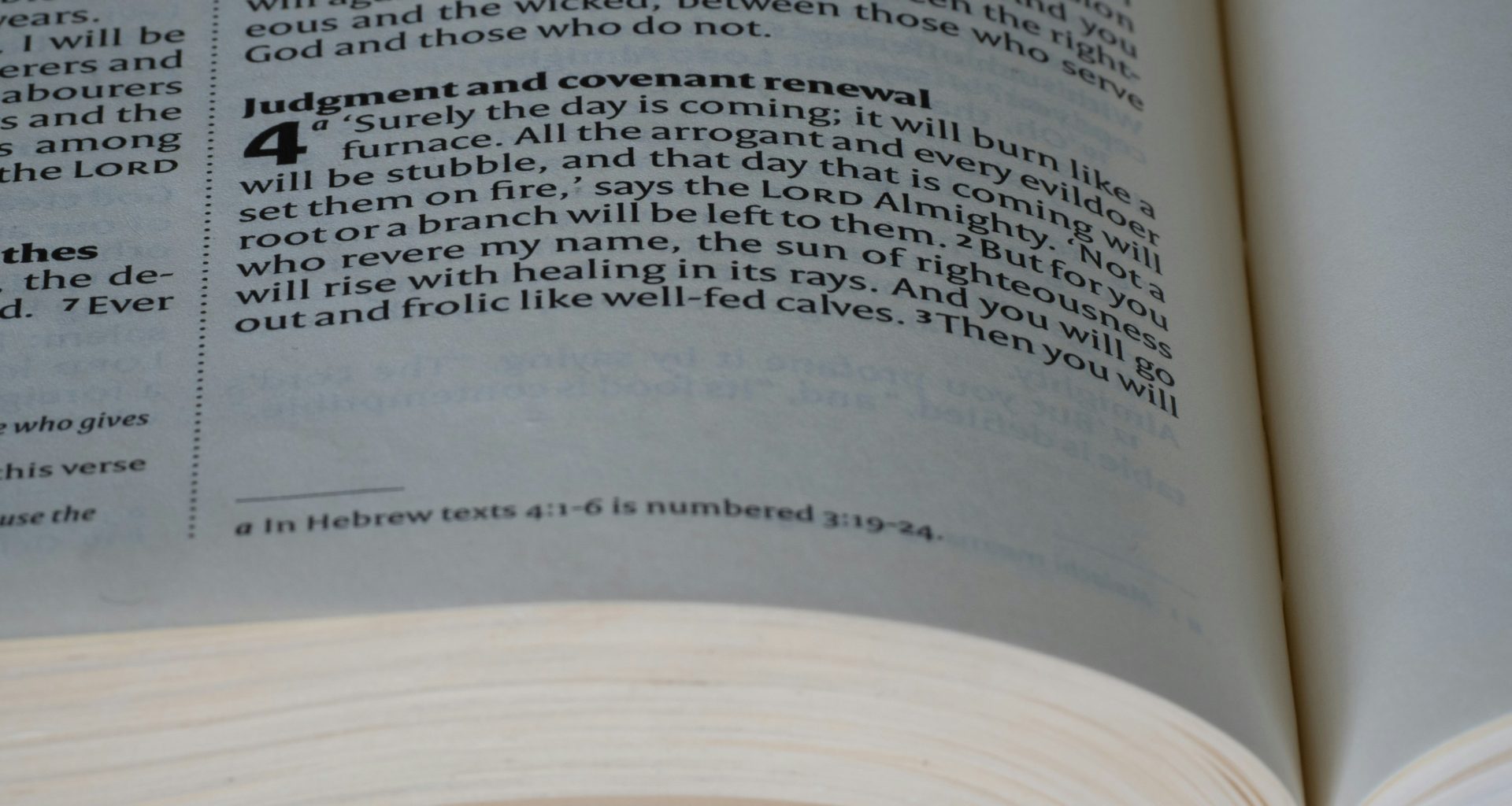 eine-nahaufnahme-eines-buches-mit-einer-aufgeschlagenen-seite-7wDjGcNNbAQ