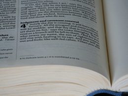 eine-nahaufnahme-eines-buches-mit-einer-aufgeschlagenen-seite-7wDjGcNNbAQ