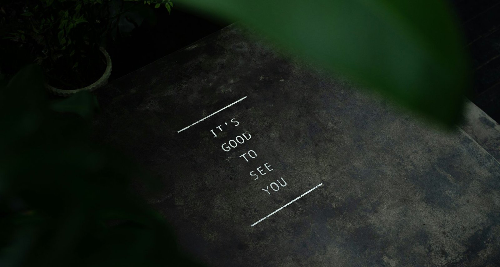 nahaufnahme-einer-pflanze-mit-einem-etikett-darauf-41SoxoZm4NU