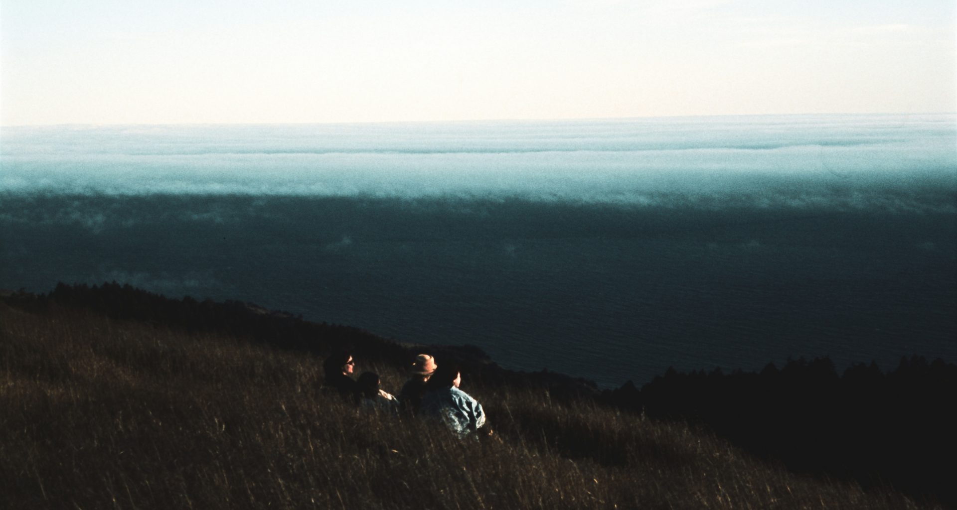 ein-paar-leute-die-im-gras-stehen-ecc6hKTK-2g