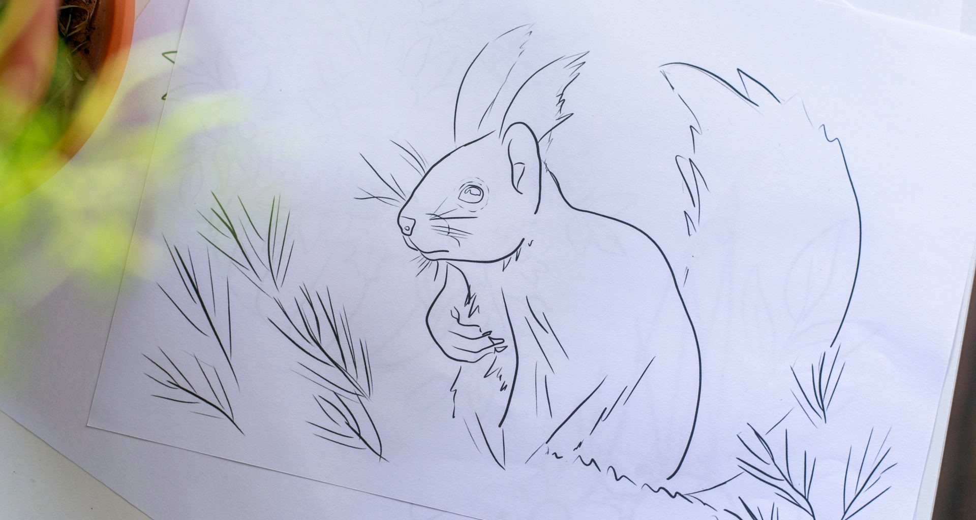 eine-zeichnung-eines-eichhornchens-auf-einem-blatt-papier-TI9zP4fyIak
