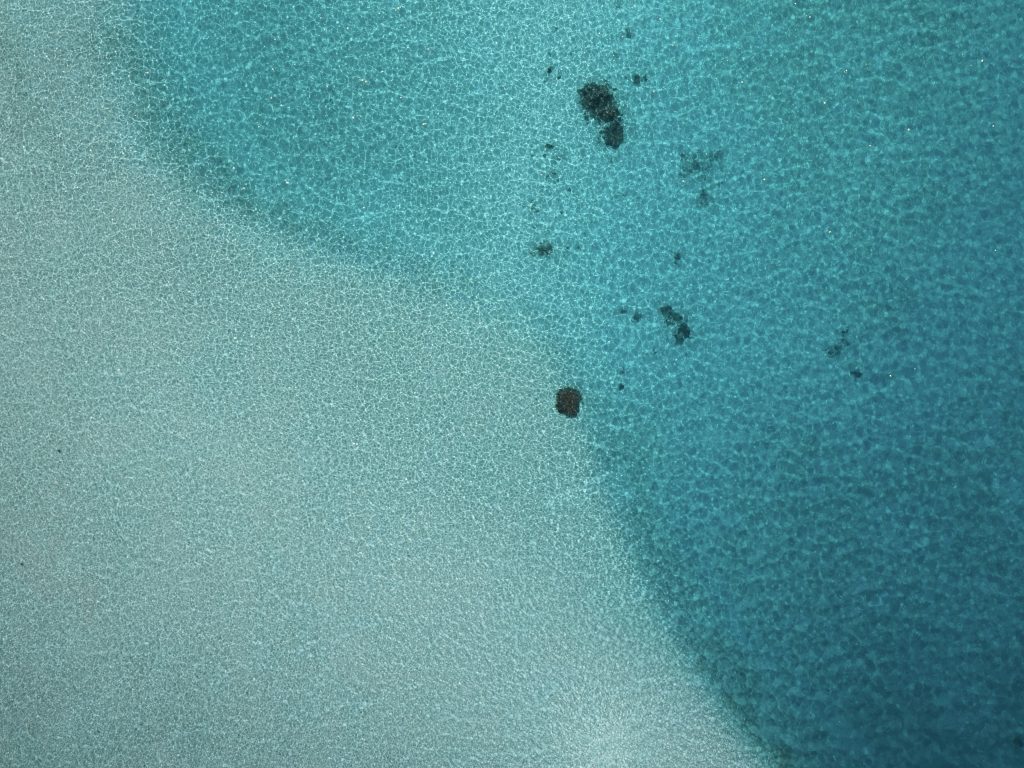 eine-gruppe-schwarzer-ameisen-rxsiQzkqPH4