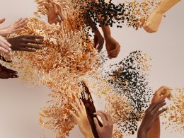 eine-gruppe-von-handen-die-in-einen-haufen-essen-greifen-XEfyYsUMdR4