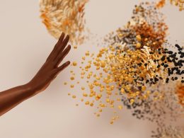 eine-hand-die-nach-einem-haufen-samen-greift-8izdP4Ec9rA