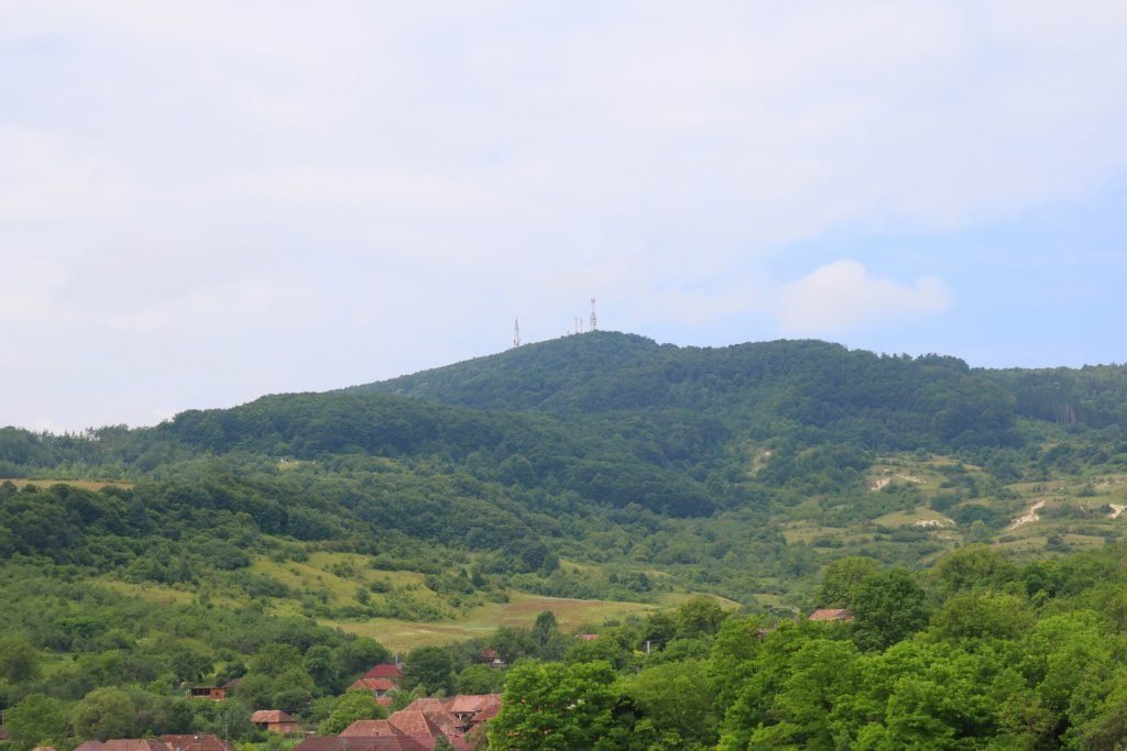 eine-schafherde-die-auf-einem-saftig-grunen-hugel-grast-c5mlDU5qbXE