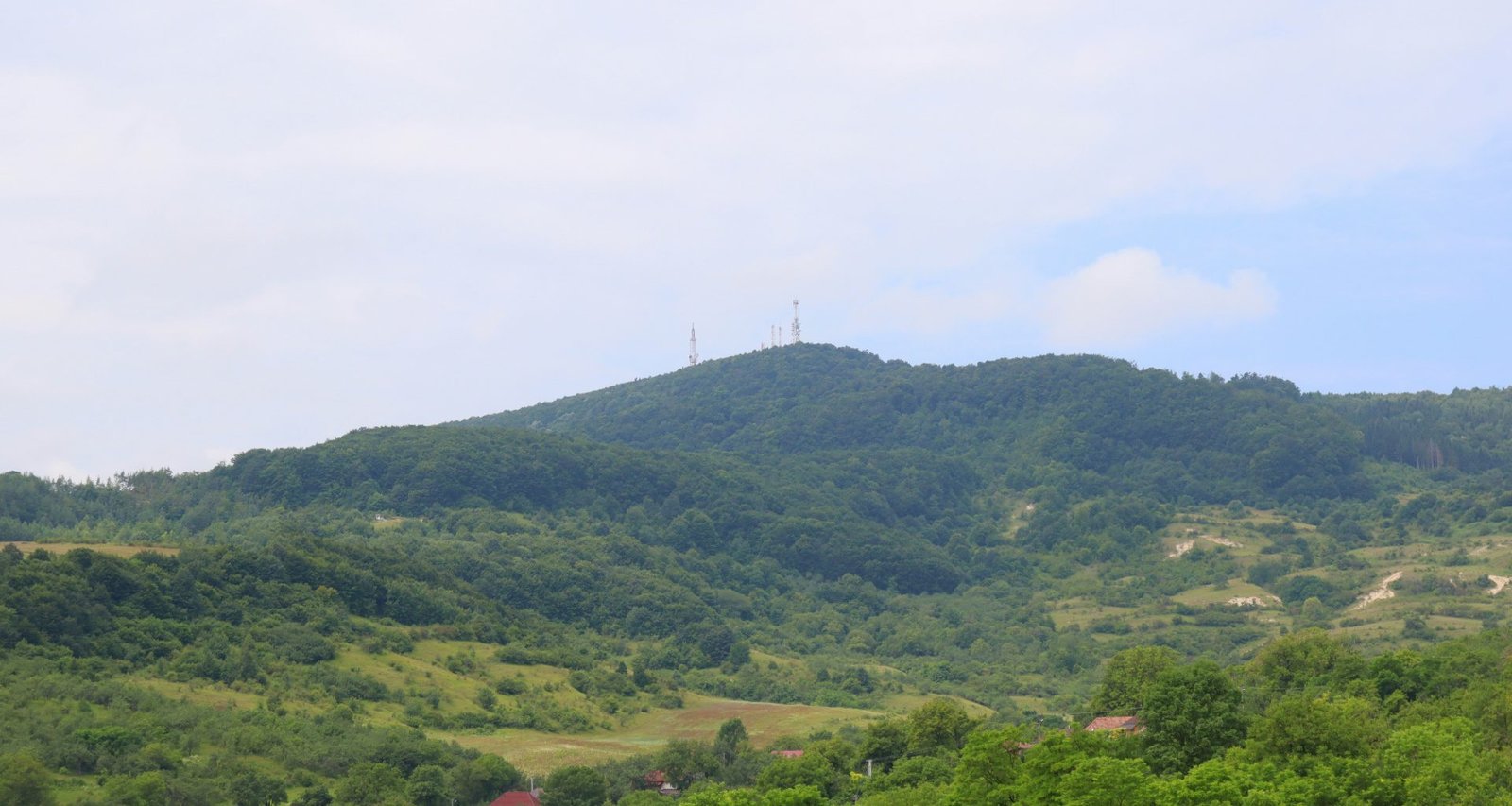 eine-schafherde-die-auf-einem-saftig-grunen-hugel-grast-c5mlDU5qbXE
