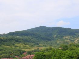 eine-schafherde-die-auf-einem-saftig-grunen-hugel-grast-c5mlDU5qbXE