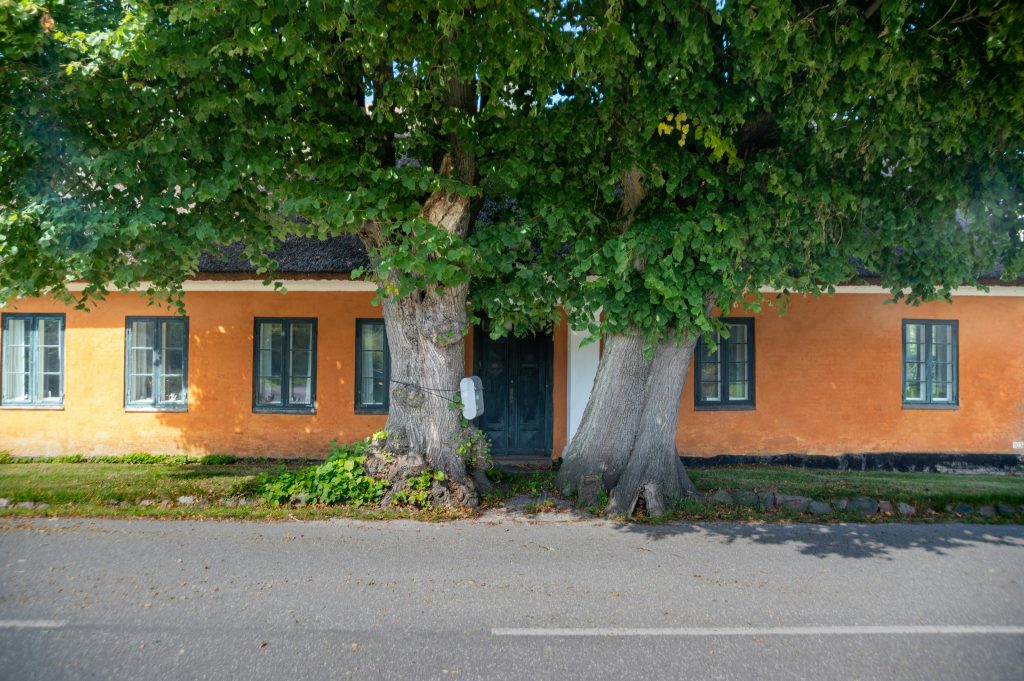 ein-haus-mit-einem-baum-davor-FaVS_HZlRzk