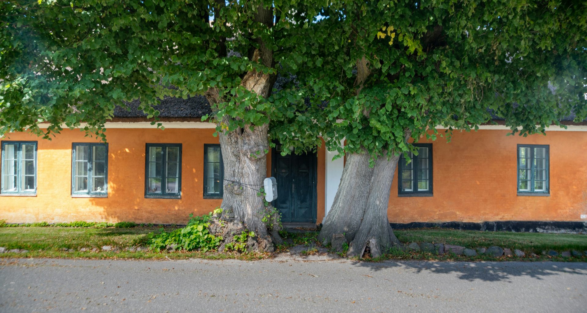 ein-haus-mit-einem-baum-davor-FaVS_HZlRzk