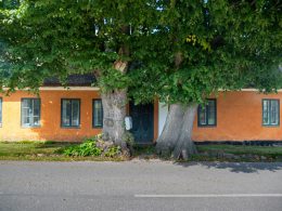 ein-haus-mit-einem-baum-davor-FaVS_HZlRzk
