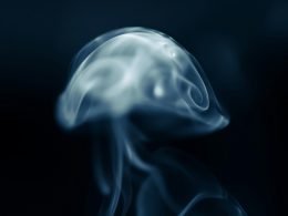 eine-person-mit-einem-licht-im-kopf-m-V1ICQC0_Y