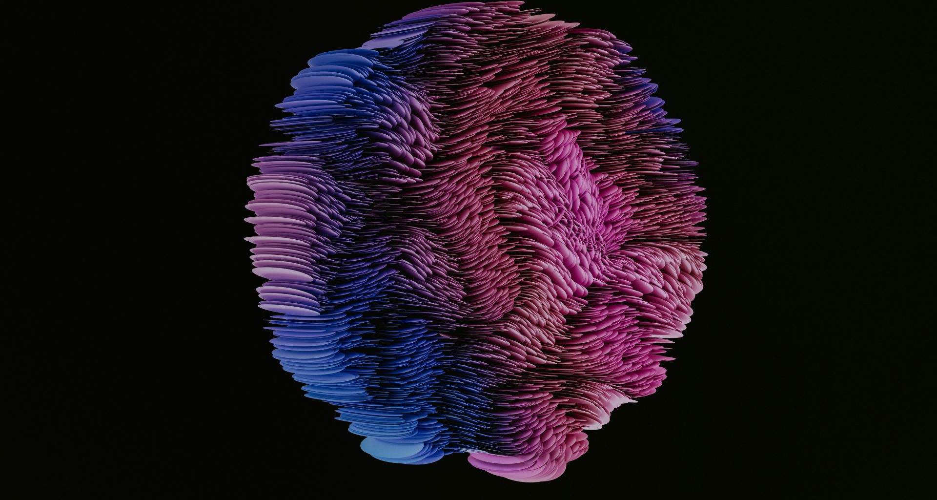 eine-rosa-und-lila-qualle-Ulbtb_46xlc