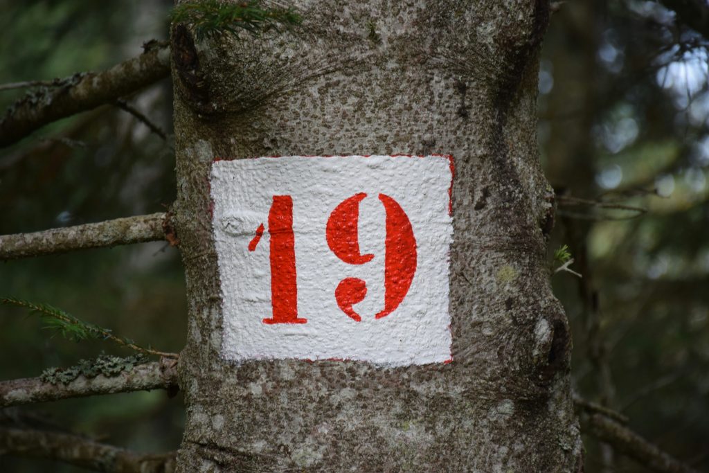ein-rot-weisses-schild-an-einem-baum-im-wald-t0m9E4yjRZ8