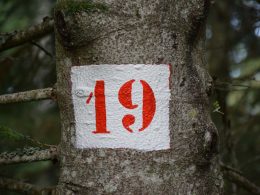 ein-rot-weisses-schild-an-einem-baum-im-wald-t0m9E4yjRZ8