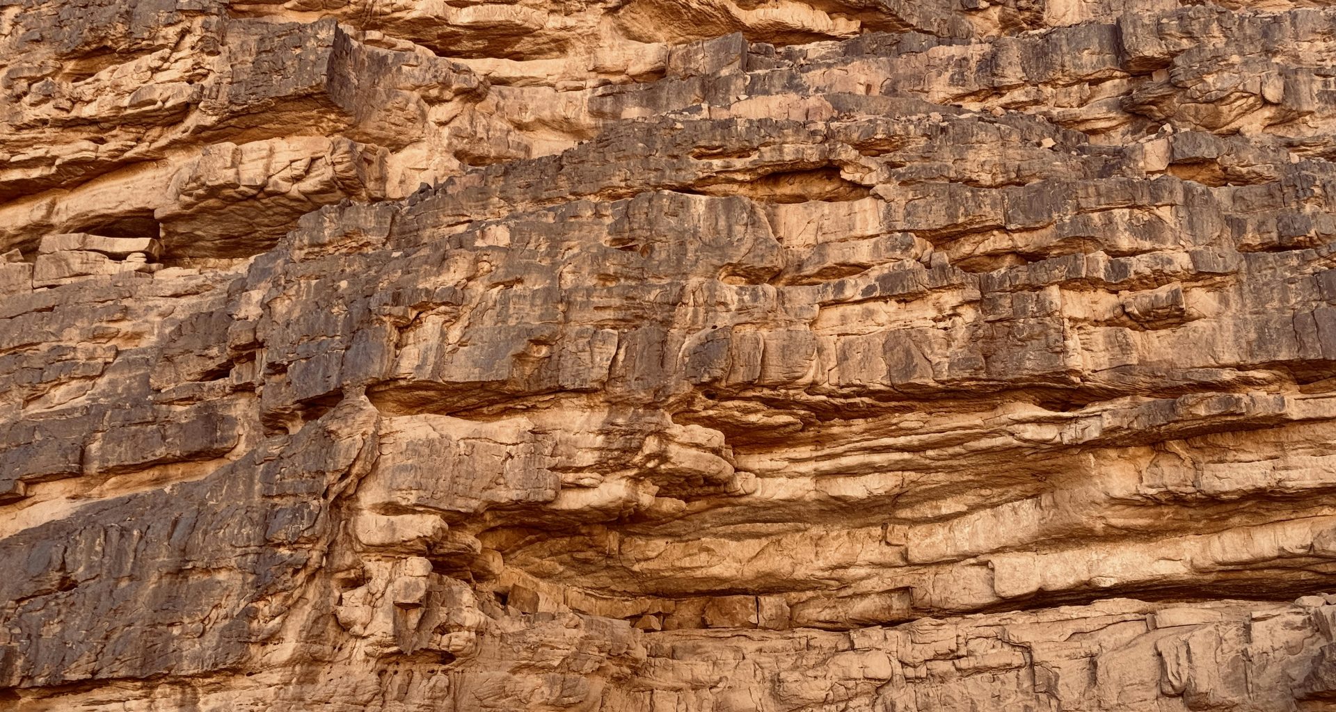 eine-felswand-auf-der-ein-vogel-sitzt-1QZs4YGR-jg