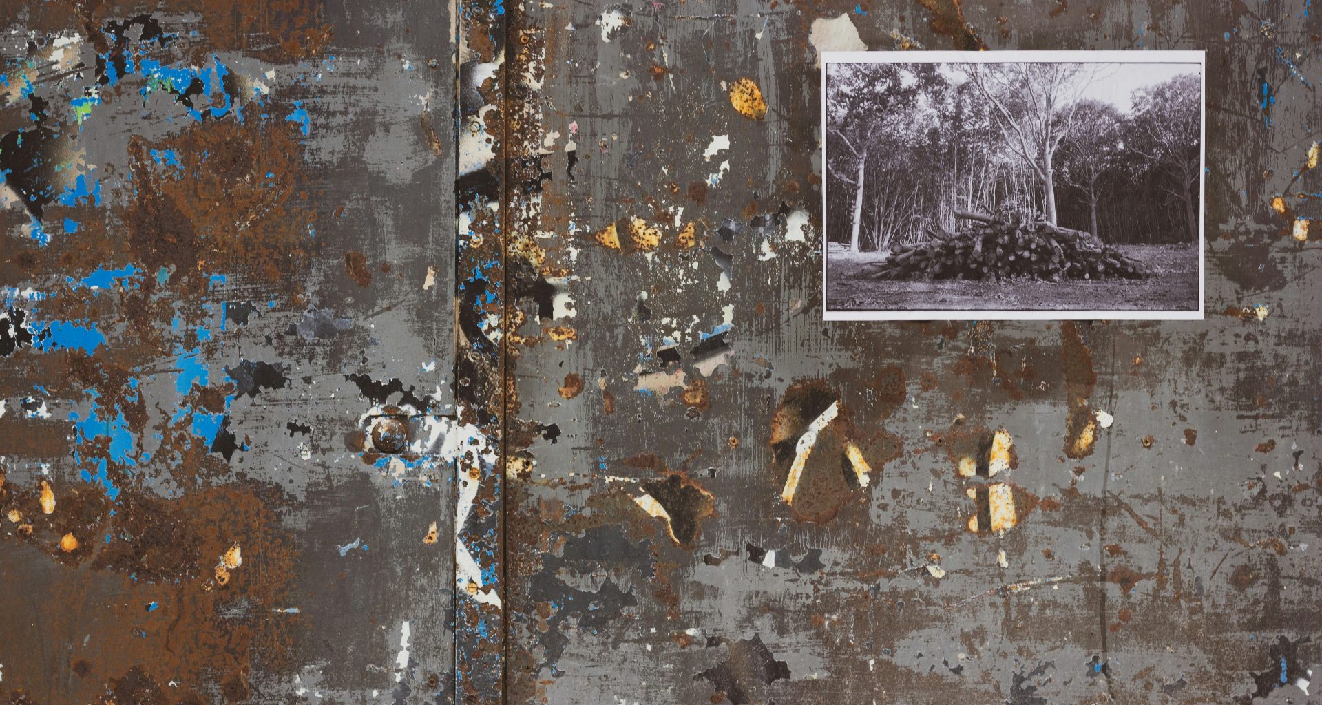 eine-verrostete-metallwand-mit-einem-bild-von-baumen-darauf-RF2AmrbPVHc