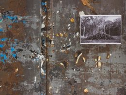 eine-verrostete-metallwand-mit-einem-bild-von-baumen-darauf-RF2AmrbPVHc