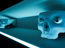 ein-seltsam-aussehendes-objekt-mit-augen-und-einer-nase-upwjVq8cJRY