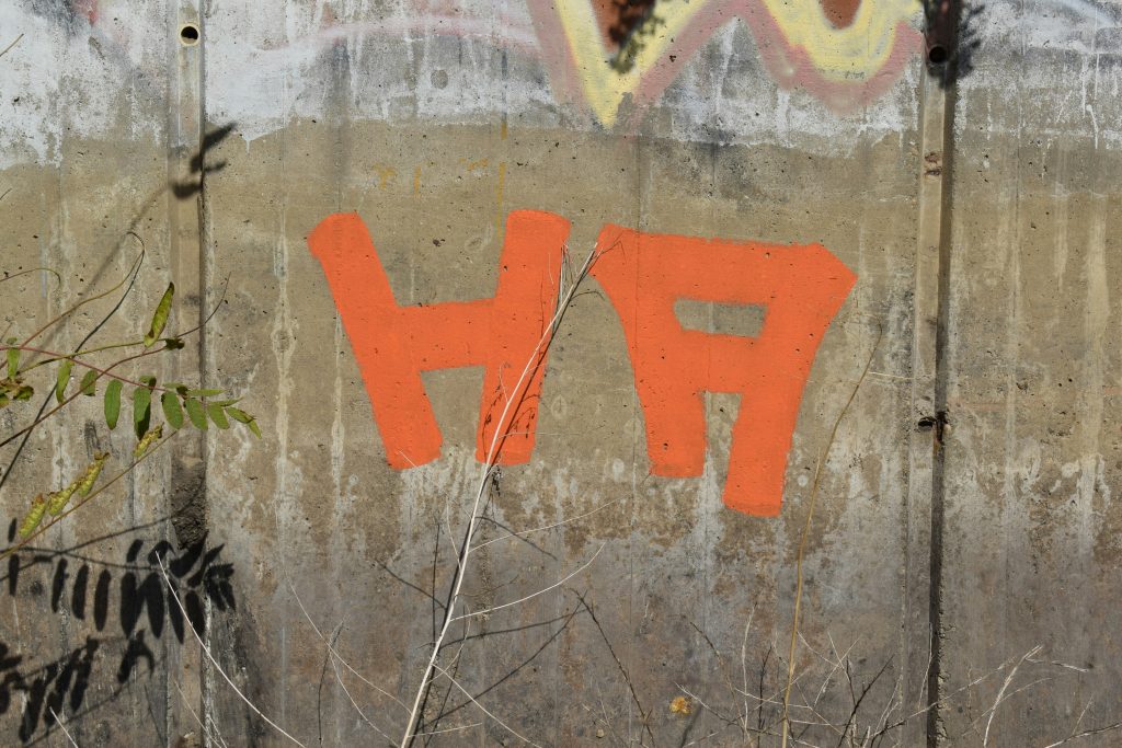 eine-wand-mit-graffiti-darauf-und-einem-baum-im-vordergrund-YbJIhAg8FSI