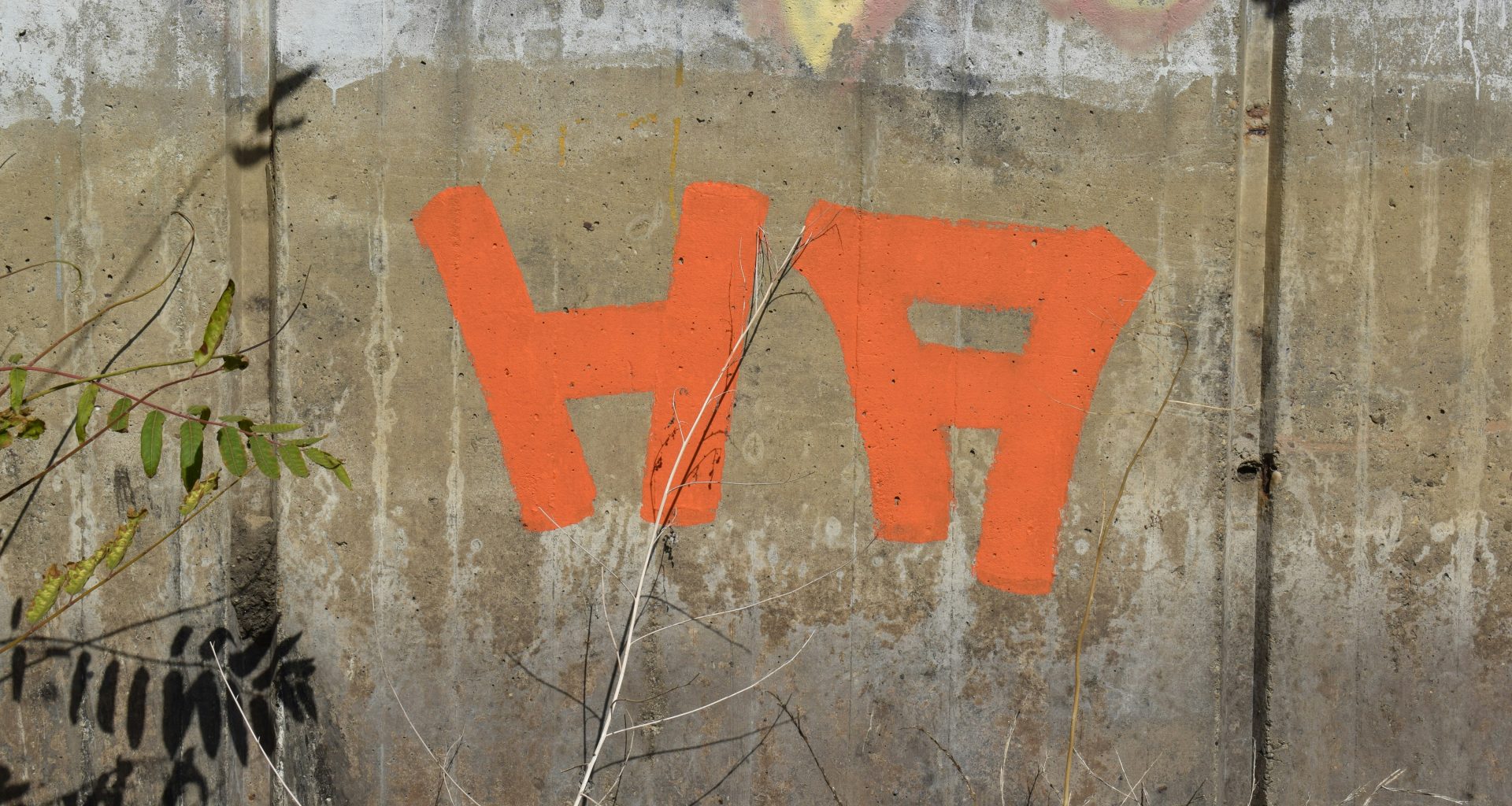 eine-wand-mit-graffiti-darauf-und-einem-baum-im-vordergrund-YbJIhAg8FSI