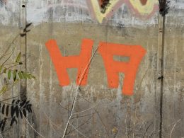 eine-wand-mit-graffiti-darauf-und-einem-baum-im-vordergrund-YbJIhAg8FSI