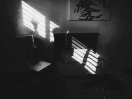 textil-mit-schwarz-weissem-zebraprint-pUpt-bYkZdk