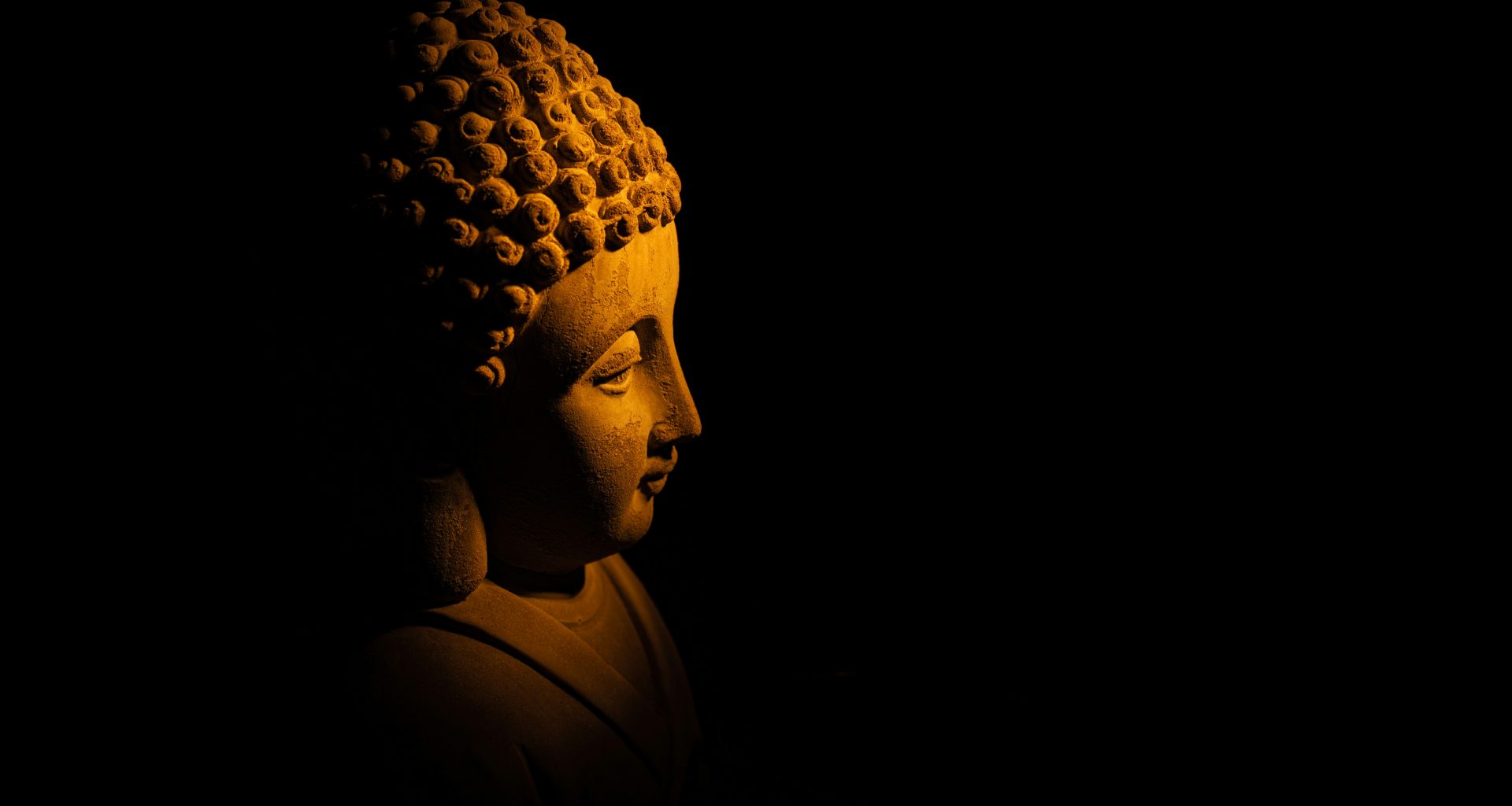 braune-und-schwarze-kopfbuste-mit-leopardenprint-7BootnN3-0I