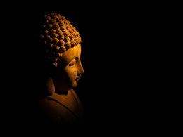 braune-und-schwarze-kopfbuste-mit-leopardenprint-7BootnN3-0I