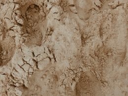 brauner-sand-mit-wasser-tagsuber-LCpuZbvyufo