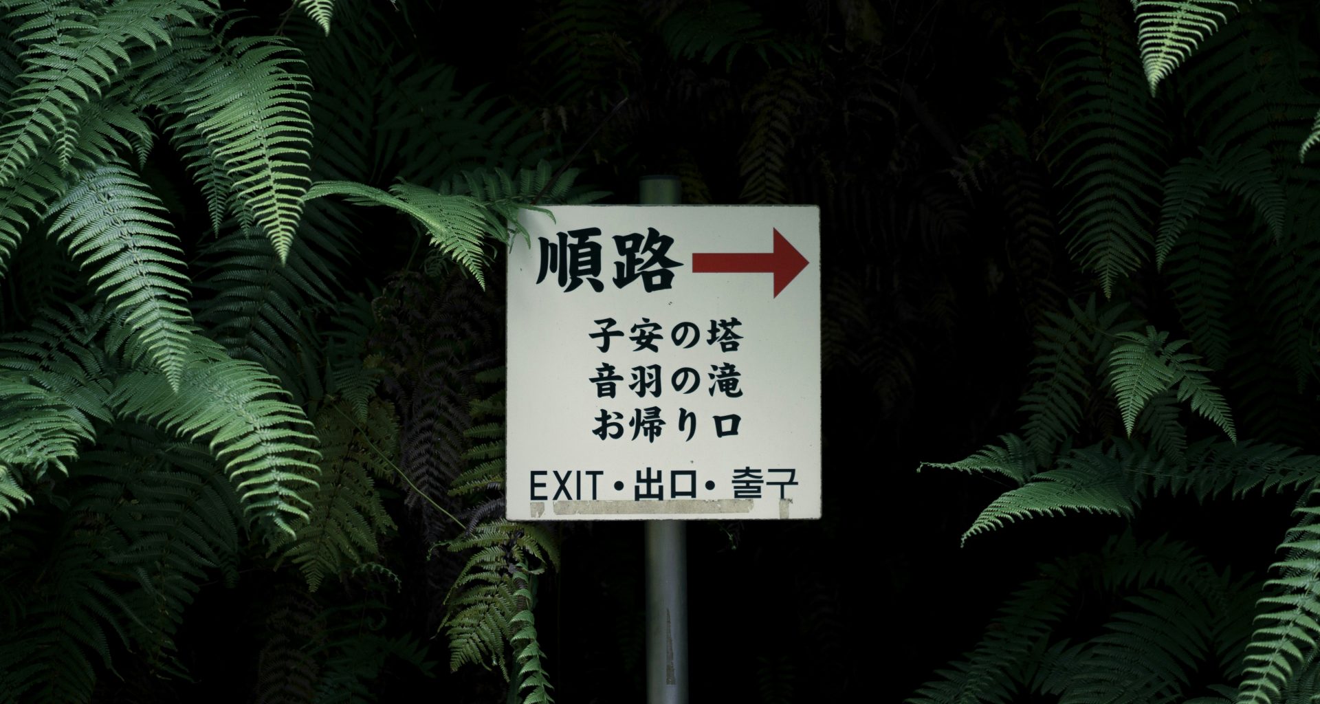 ausfahrtsbeschilderung-auf-der-rechten-seite-4ds_MkM492s