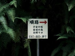 ausfahrtsbeschilderung-auf-der-rechten-seite-4ds_MkM492s