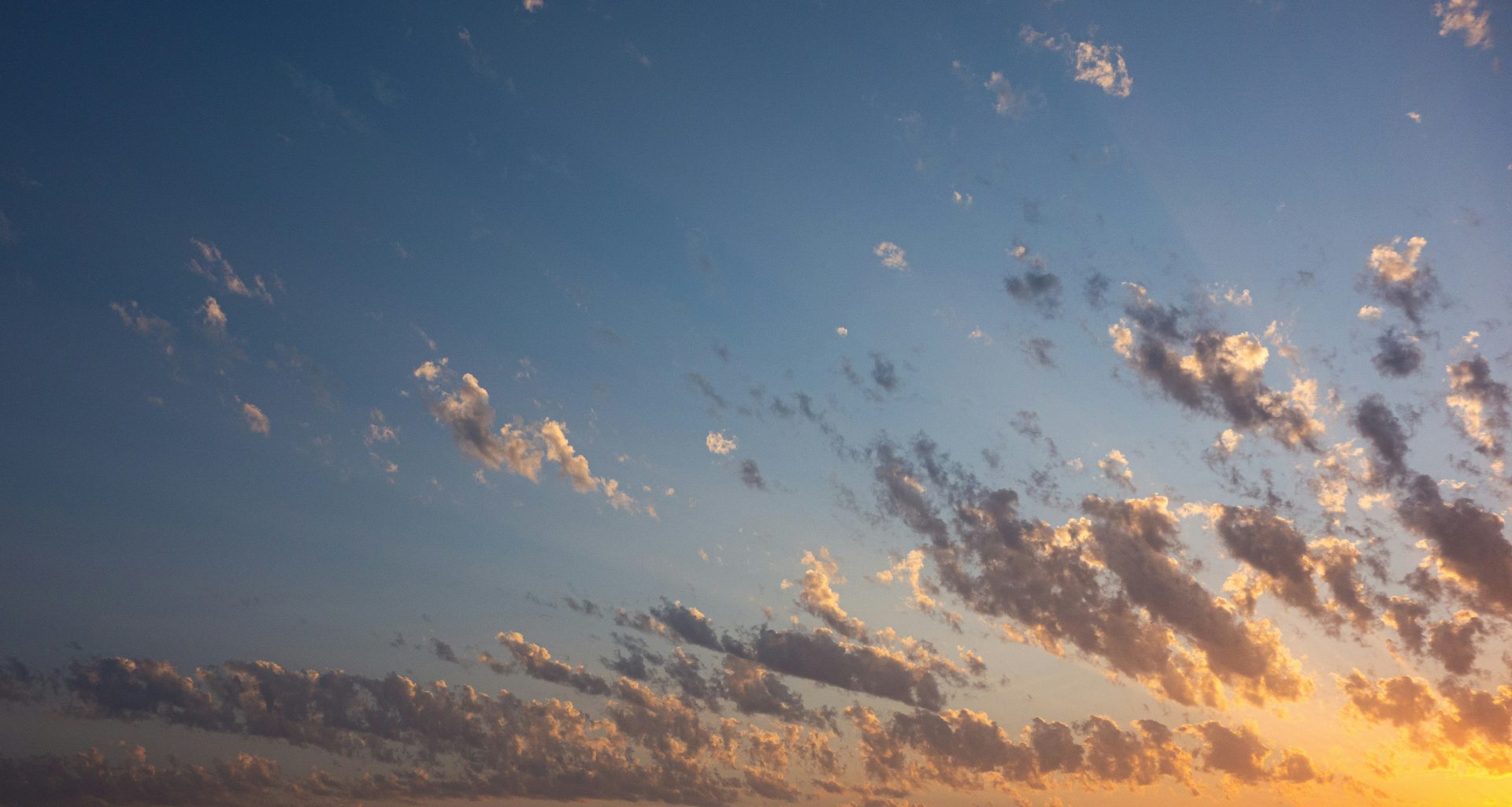 vogelschwarm-der-bei-sonnenuntergang-uber-die-wolken-fliegt-5QIlud91vr0