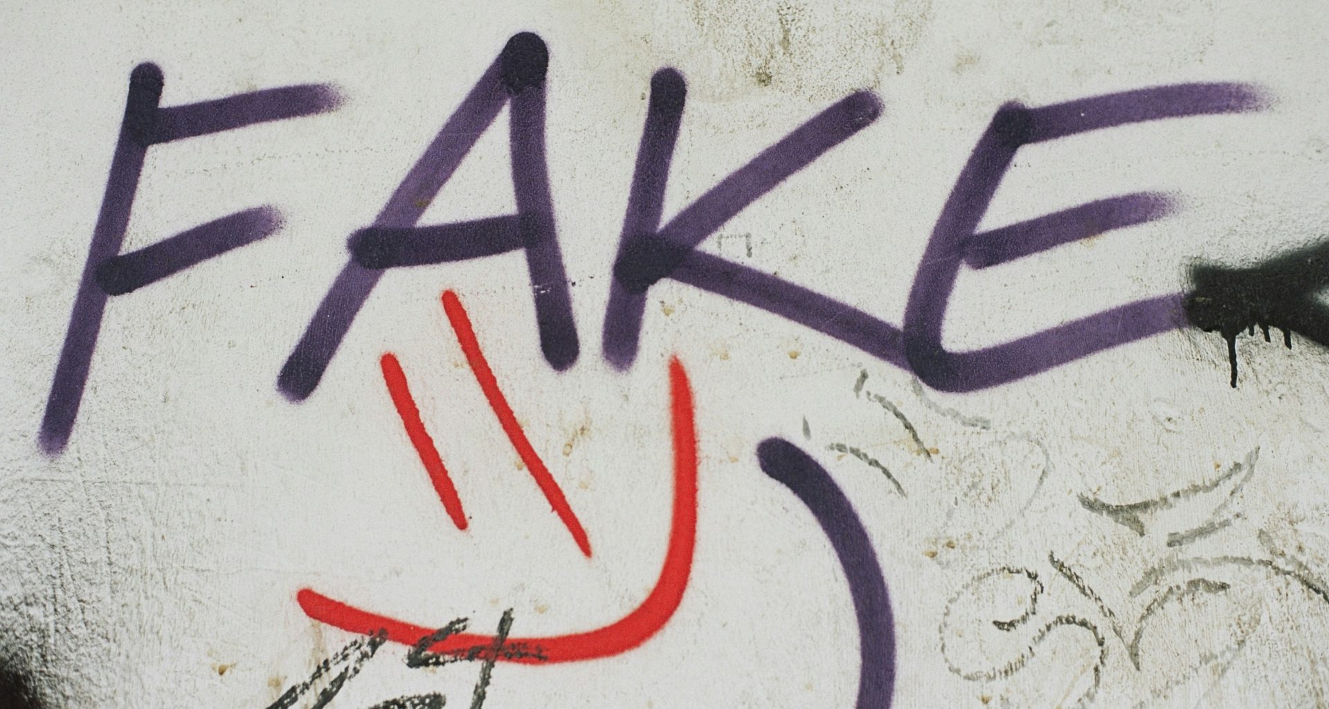graffiti-an-einer-wand-die-fake-sagt-3rFq-RHSNLg