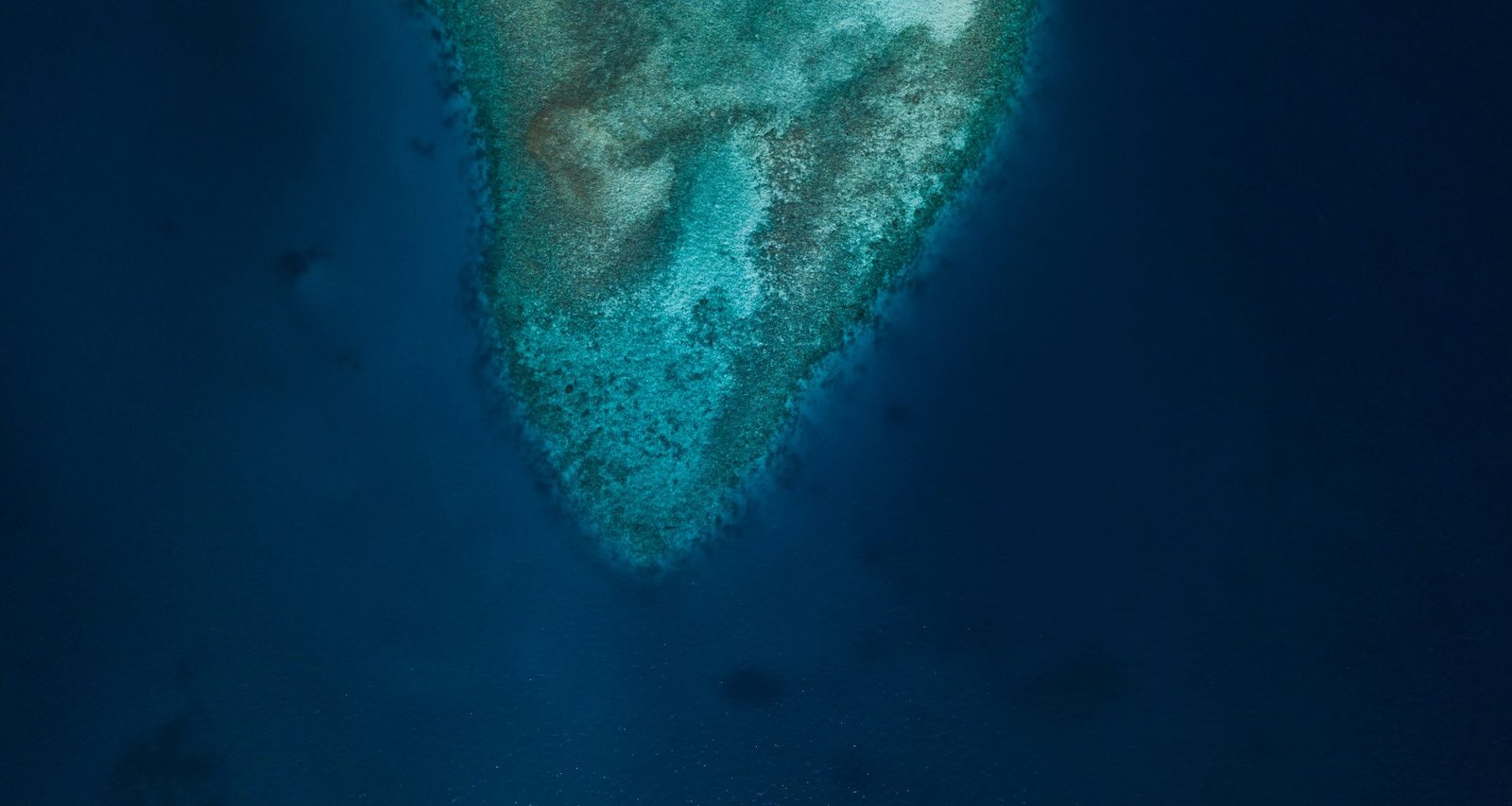 grune-und-weisse-abstrakte-malerei-RAeSSOieLGA