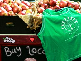 grunes-rundhalsshirt-in-der-nahe-von-apfelfruchten-DehRd67lcek