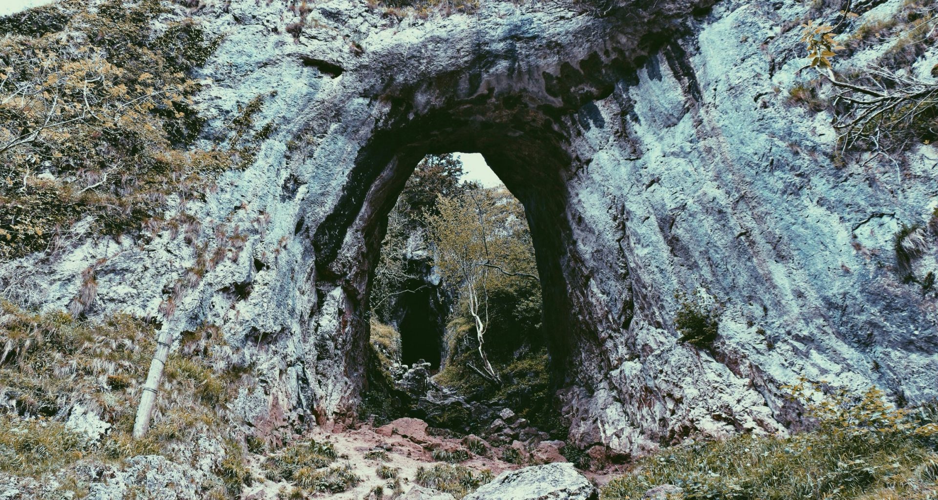 grun-grasbedeckte-felsformation-tagsuber-FRUNWjolvNA