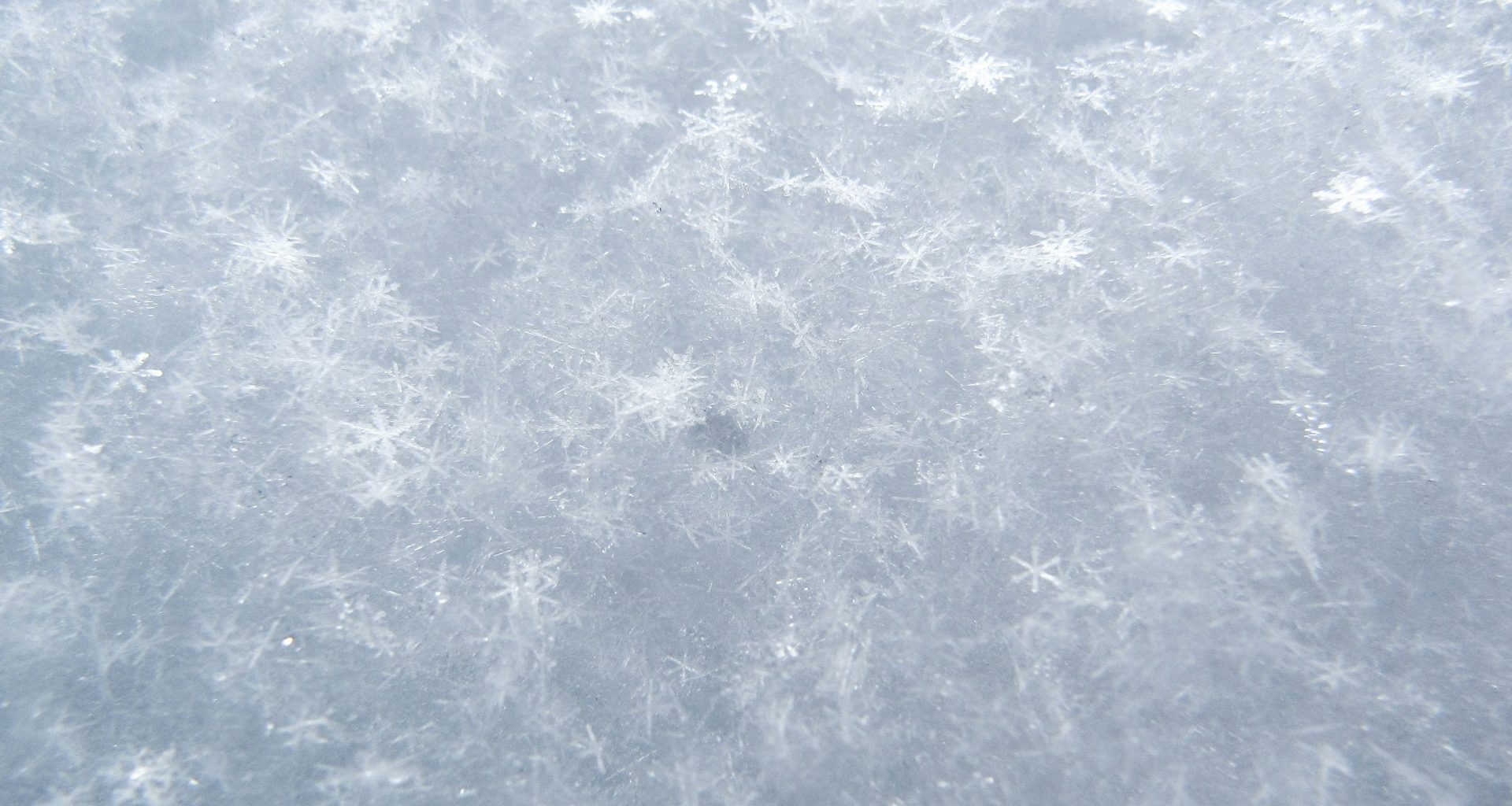 graue-illustration-dsNSBoNGCRs