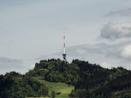 landschaftsfoto-von-grunen-baumen-mit-grunem-gras-NAxOQACqJEo